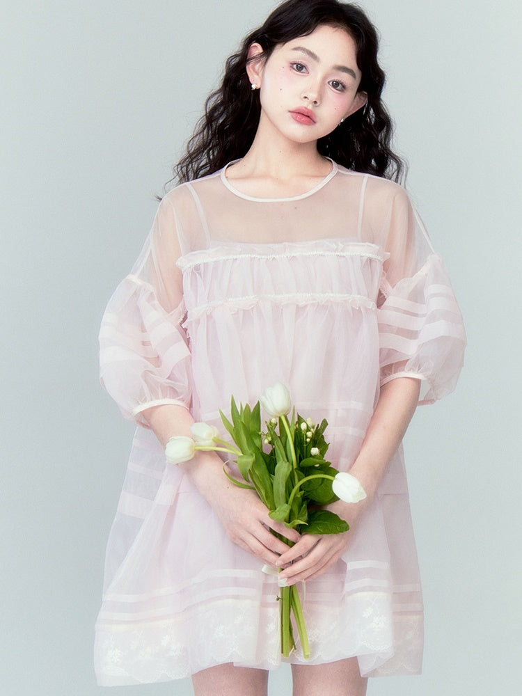 A-line Mesh Sheer Lace Hem Dress